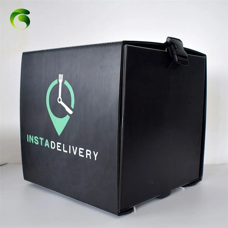 Correx PP Pizza Box i plast